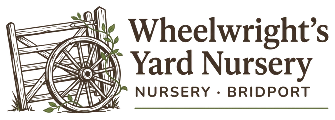 Wheelwright's Yard Nursery